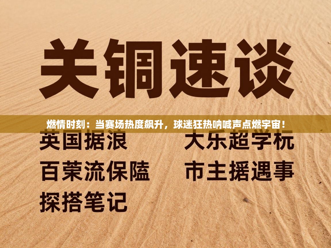 燃情时刻:当赛场热度飙升,球迷狂热呐喊声点燃宇宙! 第2张