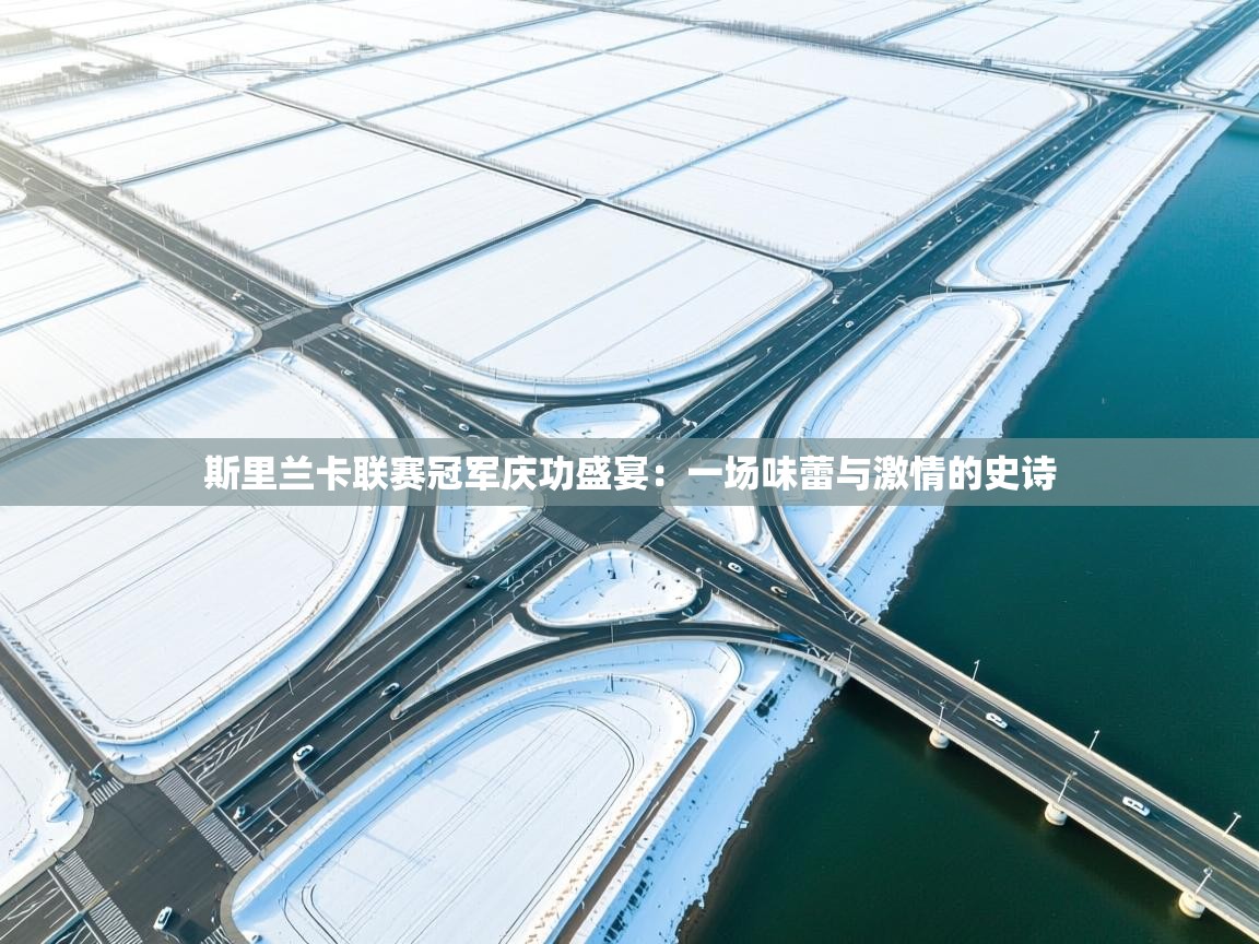 斯里兰卡联赛冠军庆功盛宴：一场味蕾与激情的史诗  第1张