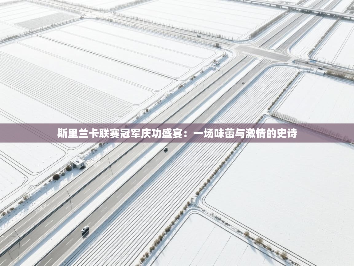 斯里兰卡联赛冠军庆功盛宴：一场味蕾与激情的史诗  第2张